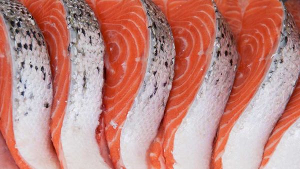 Salmon istock