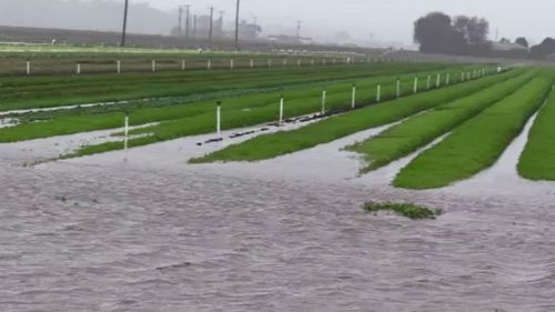Flood warning for river in Victoria's east Gippsland region as heavy rain continues