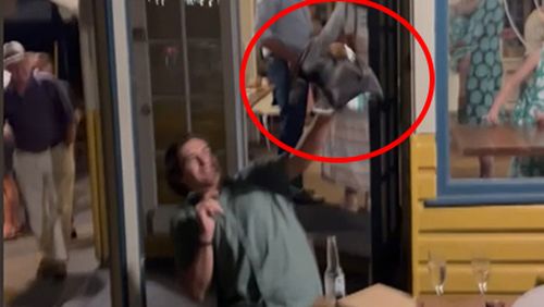 It's the wedding crasher no one saw coming.Turning things upside down at Hardy's Bistro on the NSW Central Coast was a bat, which zeroed in on the Lee family during pre-wedding drinks on Thursday night.
