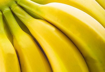 Which variety of banana accounts for 47 percent of global production?