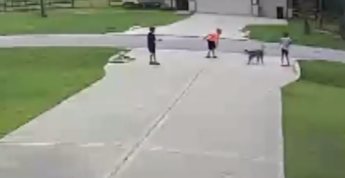 A Texan man has been praised for rescuing his six-year-old neighbour from a vicious dog attack at the weekend.