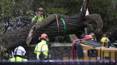 Firemen and emergency workers prepare to clear the scene where a woman was killed as a tree was blown over in high winds on October 21. (Getty)