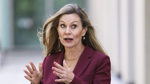 A comissária de segurança eletrônica Julie Inman Grant em uma conferência de imprensa no Parlamento em Canberra na segunda-feira, 1º de dezembro de 2025.