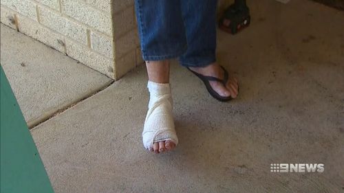 The 86-year-old broke several bones in his foot during the attack. (9NEWS)