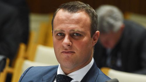 Tim Wilson: Inquiry about tax, not my shares