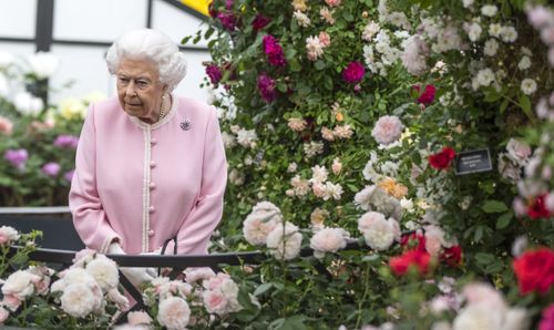 Queen Elizabeth II looks at a display of roses during her visit to this year's RHS Chelsea Flower Show (AAP)