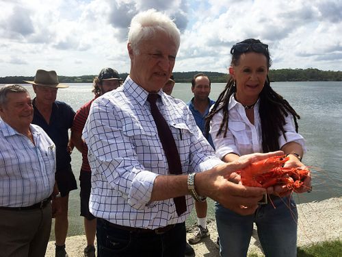 Member of Parliament Bob Katter holds a prawn on the banks of the Logan River, south of Brisbane, Queensland, Tuesday, Feb. 21, 2017. 