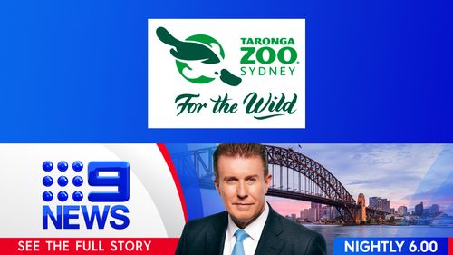 Win 1 of 50 Family Passes to Taronga Zoo