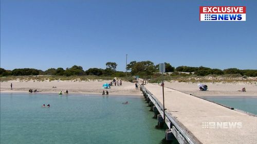 Witnesses said a fisherman had hooked the stingray before it stung the boy. (9NEWS)