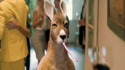 The cheeky kangaroo mascot "Roopert" returns for this year's ad. (Yellowtail)