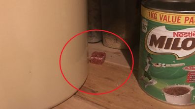 Mouse bait in cupboard photo