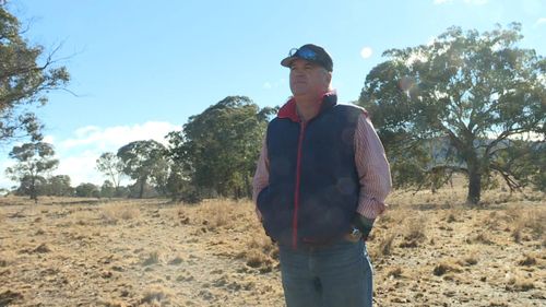 Lanyon farmer Andrew Geikie is feeling the drought, and says they need another 48 - 50mm of rain before October before they're in real trouble. Picture: 9NEWS