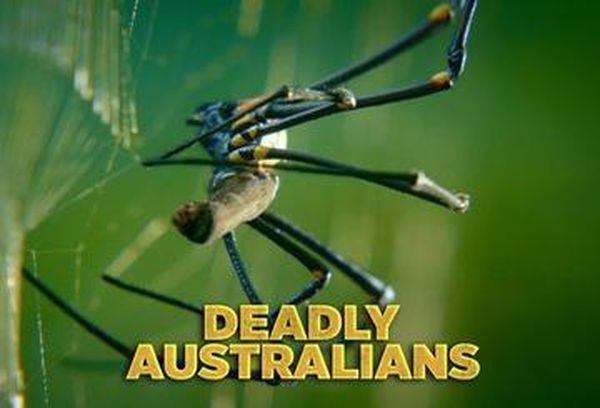 Deadly Australians