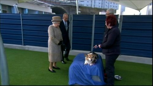 The Queen has owned more than 30 corgis since she gained the throne in 1952.