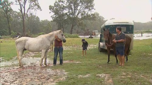 The families farm raised horses for birthday parties and riding classes, but now their barn, shed, feed, hay and saddles are all completely lost.