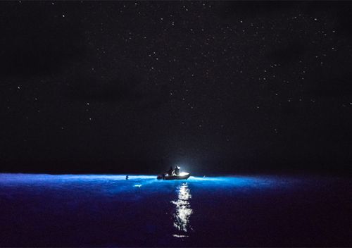 On his night swim, Ben Lecomte wore a hoodie wetsuit and a second layer over his torso. 'It was surreal, all my usual reference points were distorted,' Lecomte said. 'We were hoping for squids to come up but that didn't happen.'