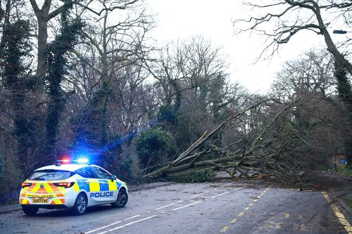 Police park by a fallen tree as it blocks a road in Harrow, north west London. (AAP)