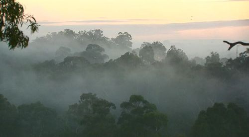 Melbourne is forecast to reach a top of 18 degrees today. Picture: 9NEWS