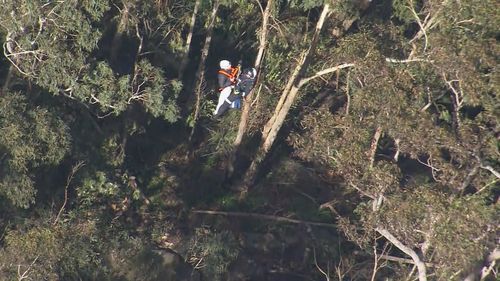 The pair spent the night in the Blue Mounatins whilst waiting for rescue crews.