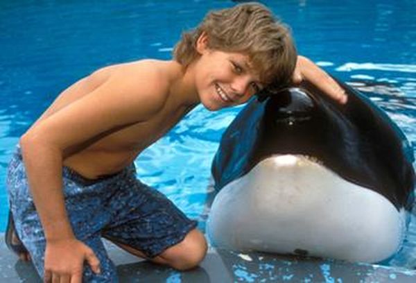 Free Willy