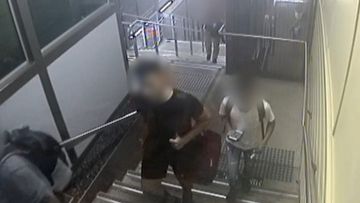 A 17-year-old teenager has been arrested by police investigating alleged stalking cases around Belmore Railway Station.