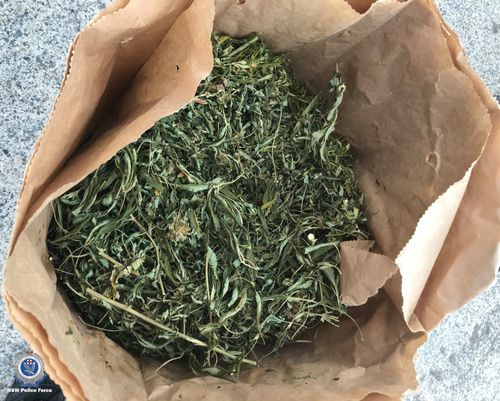 Hundreds of cannabis plants and more than 20 kilograms of cannabis leaf were confiscated during searches on the NSW Coffs Coast.