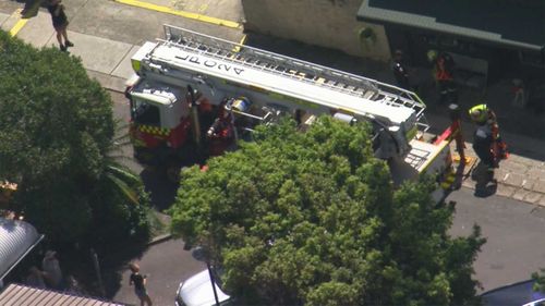 A Fire and Rescue NSW crew from Narrabeen was dispatched to save the trapped magpie.