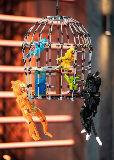 Cats vs Bird Cage — One Hanging Brick challenge