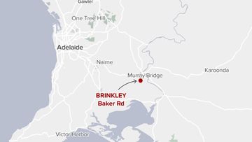 A man has died after he was crushed by heavy machinery, believed to be a dump truck, at a workplace near Murray Bridge in South Australia. Emergency services were called to ﻿a business on Baker Road at Brinkley at 7.15am this morning. Police said the 30-year-old man from Callington was rushed to hospital but died of his injuries.﻿