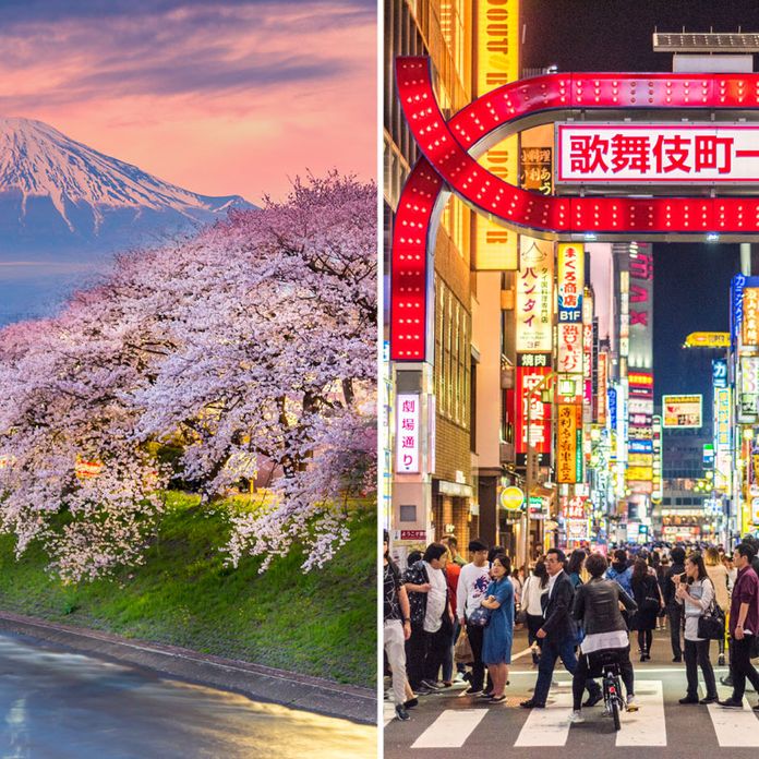 Coronavirus Is It Safe To Go To Japan Latest Travel Advice As Covid 19 Cases Increase 9travel