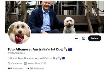 'Australia's first dog' already has over 19,000 followers