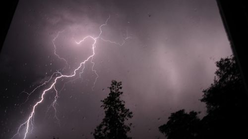 Lewis Hamilton captured this picture from his back veranda in Asquith, in Sydney's north. (Supplied)