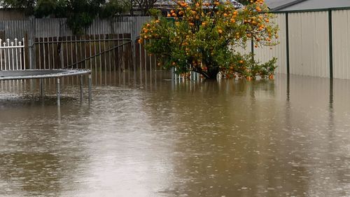 Cessnock family hit with parking fine during flooding event