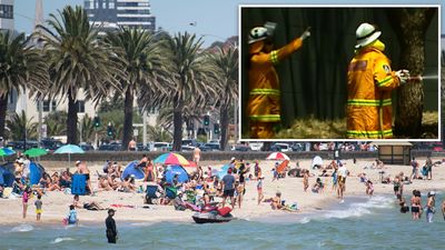 'Mid-40s': Extreme heatwave prompts fire and health fears 