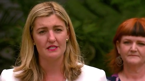 Queensland Attorney-General Shannon Fentiman introduced the first phase of legislation to combat coercive control on Friday afternoon.