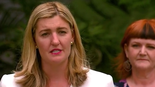 Queensland Attorney-General Shannon Fentiman ﻿introduced the first phase of legislation to combat coercive control on Friday afternoon.