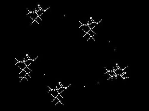 The solution to the 2023 cosmic puzzle, decoded by a father-daughter team, contains an image of five amino acids.