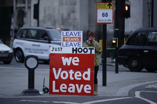 British citizens protest in their own way. Both for and against leaving.