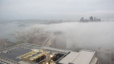 Heavy fog blanketed central Sydney on the morning of July 4.