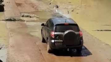A car full of tourists in Australia's Top End was stopped in its tracks by a group of saltwater crocodiles.