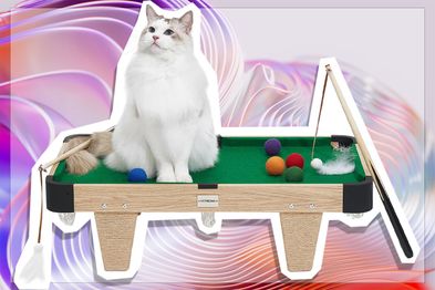 9PR: Vetreska Mini Pool Table Scratcher and Activity Centre