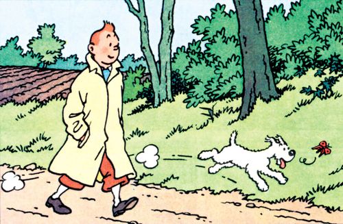 Snowy, a wire fox terrier, was a constant companion of Tintin