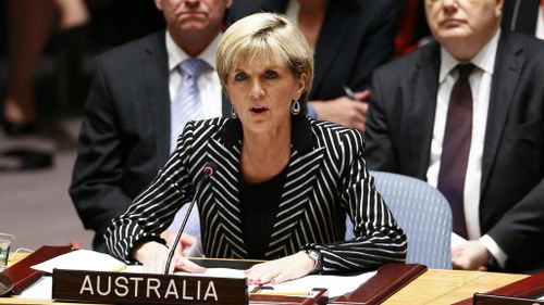 'Step forward your excellency': How Julie Bishop took centre stage for Australia over MH17