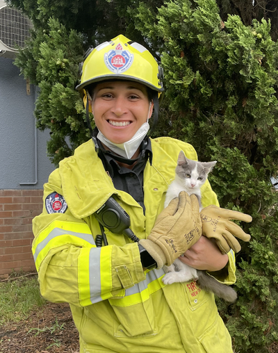 Kitten rescued from school roof