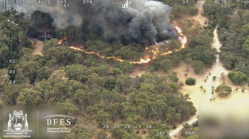 A huge bushfire that tore through 2.6 hectares of land in Gwelup, Perth was sparked by a bird flying into a power line.