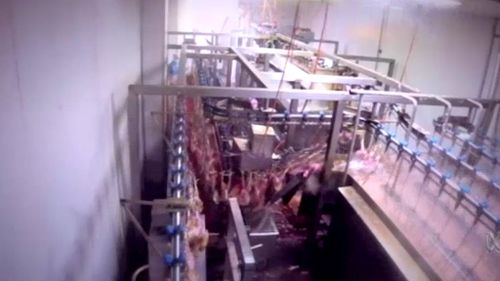 Agriculture Victoria said it was satisfied with remedial action taken by Star Poultry Supply and would not be initiating any animal cruelty investigation. (ABC)