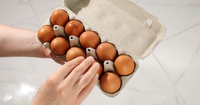 Eggs egg carton dozen eggs hand holding egg