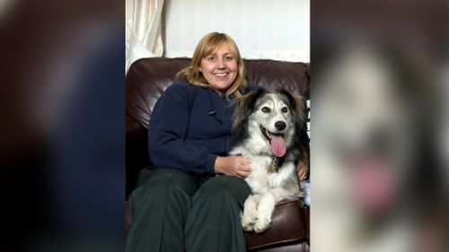 Cross-eyed collie who couldn't find a home counts his blessings