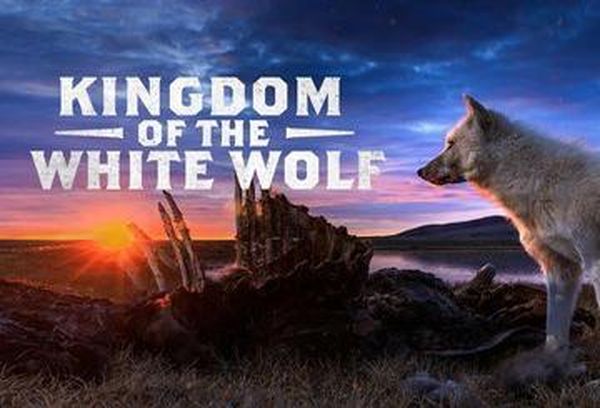 Kingdom of The White Wolf
