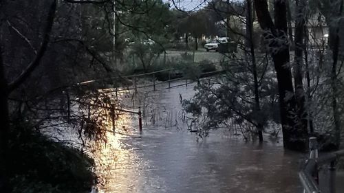 VIC Storms